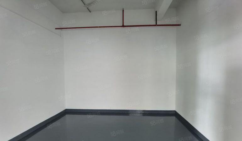 大浪南路边新出430平带装修厂房现成的装修立马入驻