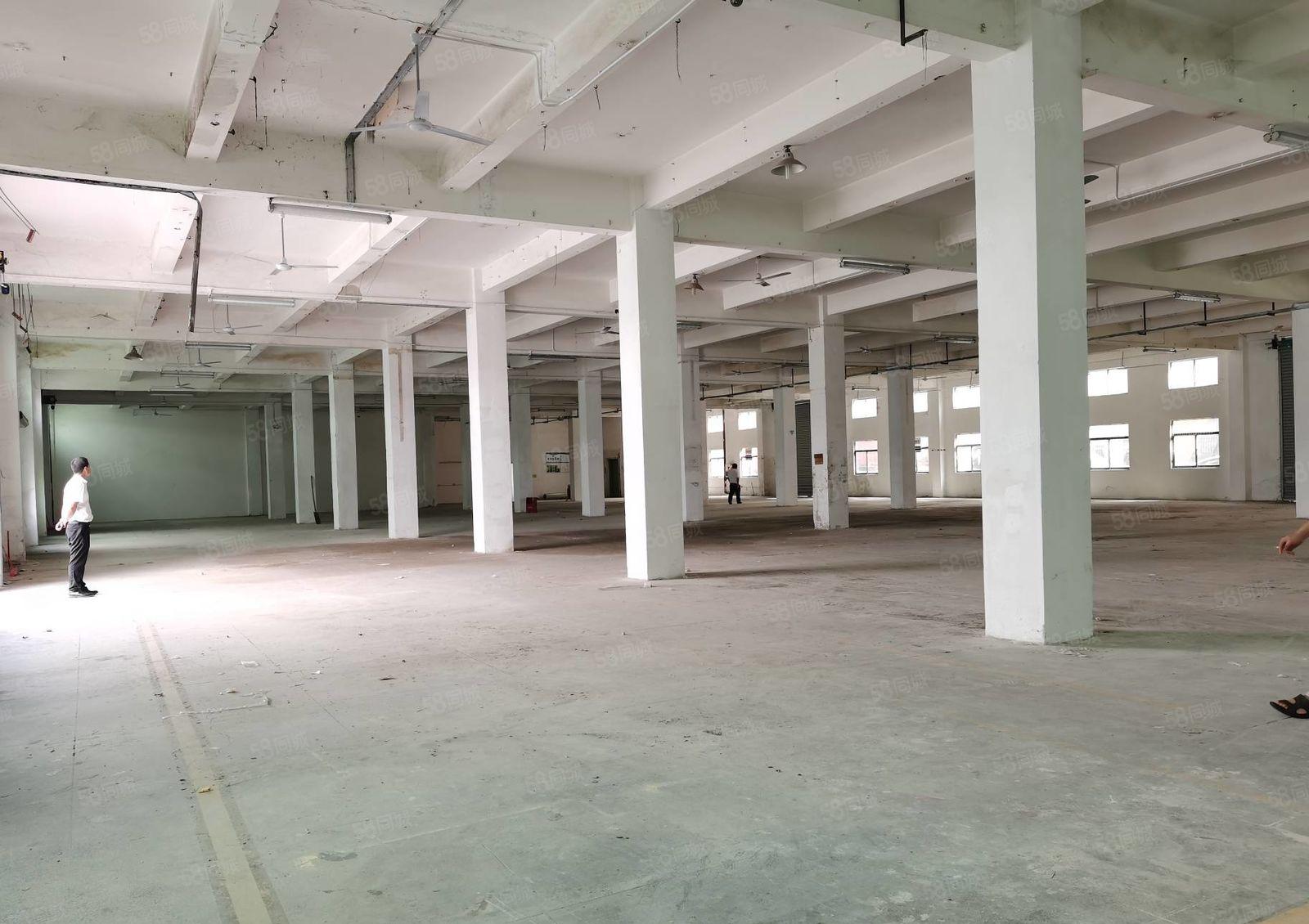 观澜樟坑径下围工业区新出一楼单层1600平方出租