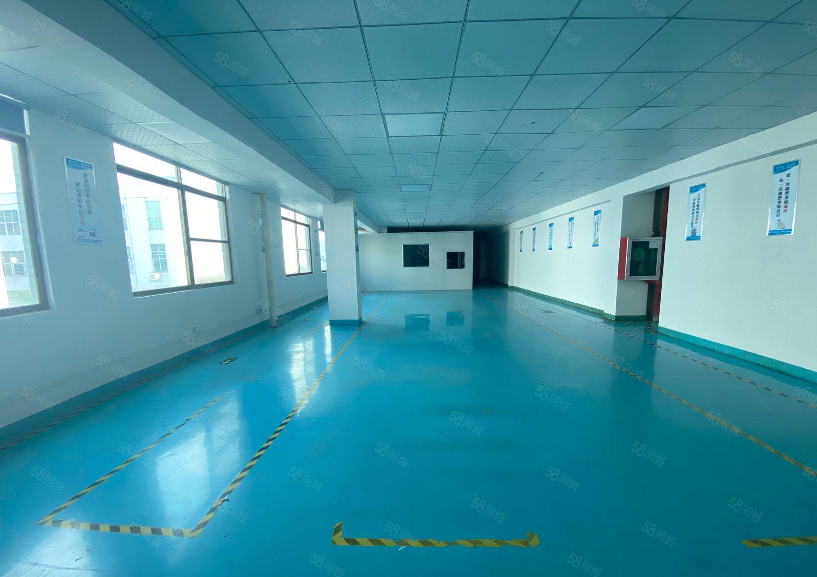 观澜福民楼上350平小面积厂房洁净车间厂房仓库出租