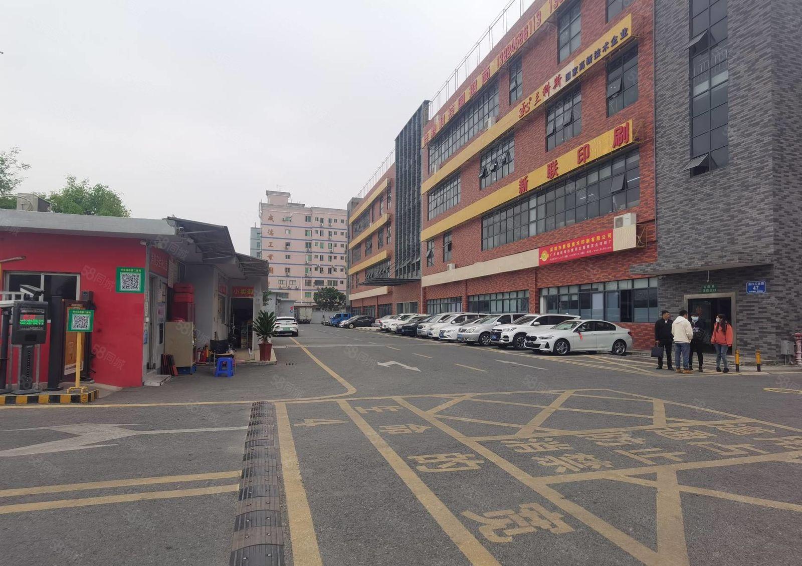 大浪联建科技园新出428平，精装修，红本厂房出租，办公加仓库