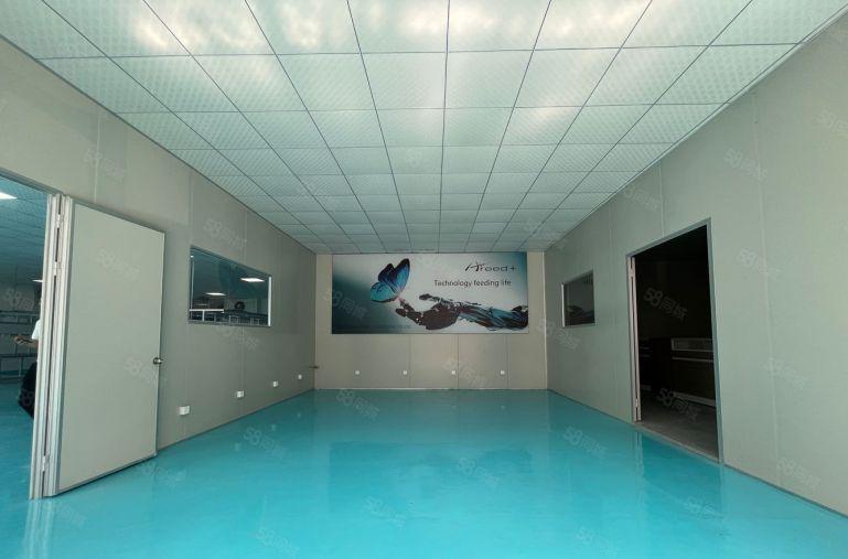 龙华大浪商业中心附近精装修一楼800平33元一平 水电齐全