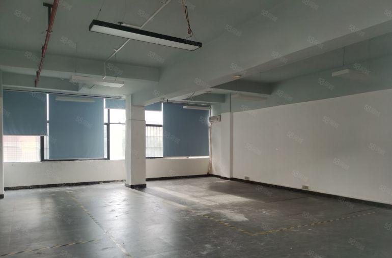 大浪劳动者广场新出280平原电子厂房带装修适合电子电商仓库