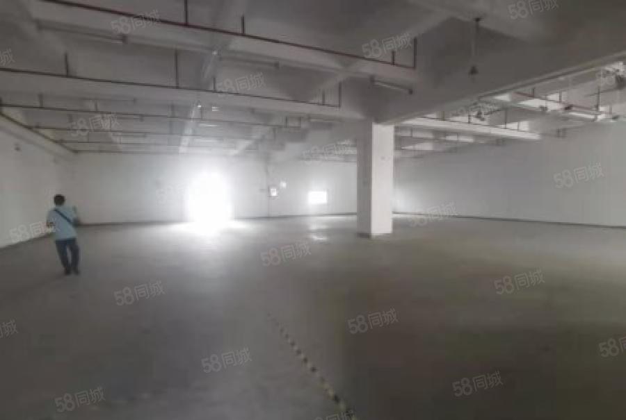 龙华原房东厂房出租1000平，大型园区，仓库，生产小加工