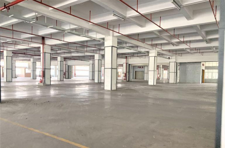 龙华大浪红本厂房仓库工业区4600平可分租带丙二类消防易招工