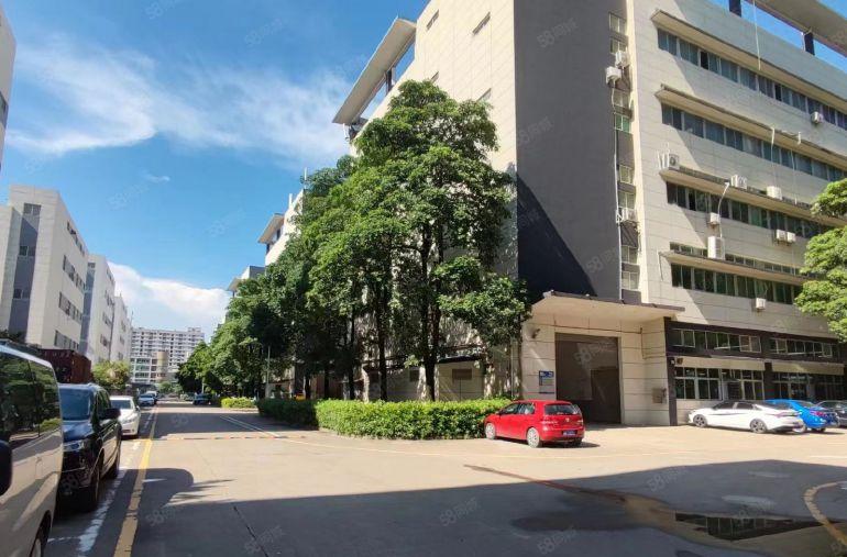 龙华原房东精装修1500平方厂房现成办公室低价出租免租期长