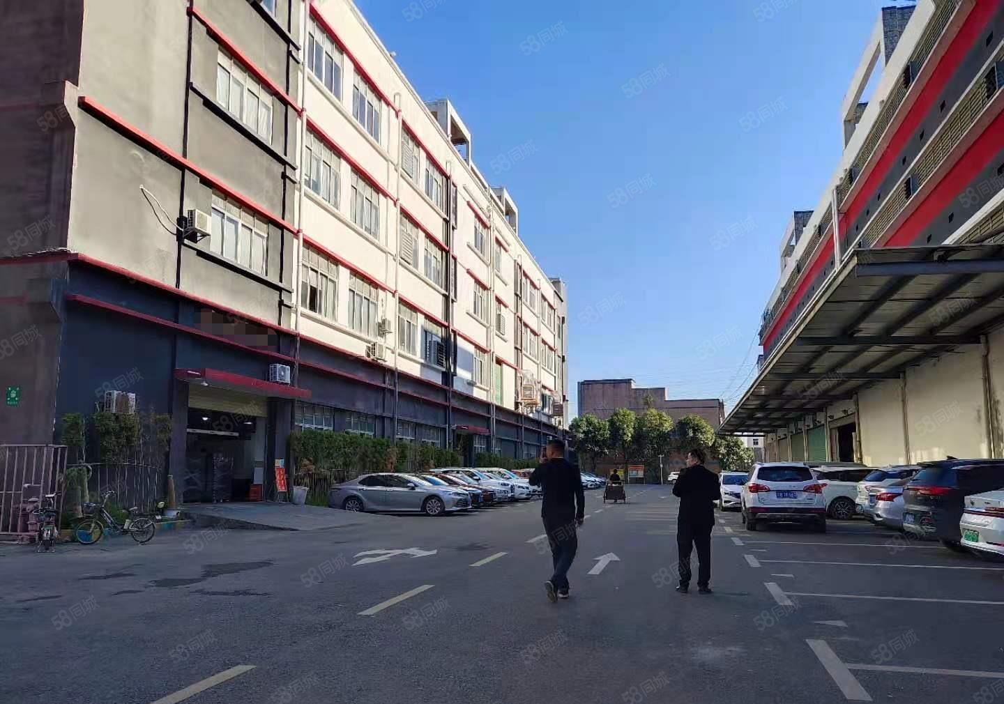 观澜樟坑径五和大道旁新出800平带办公室精装修厂房业主直租