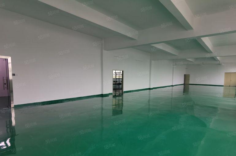 龙华观澜樟坑径原房东楼上整层1000平带精装修厂房出租