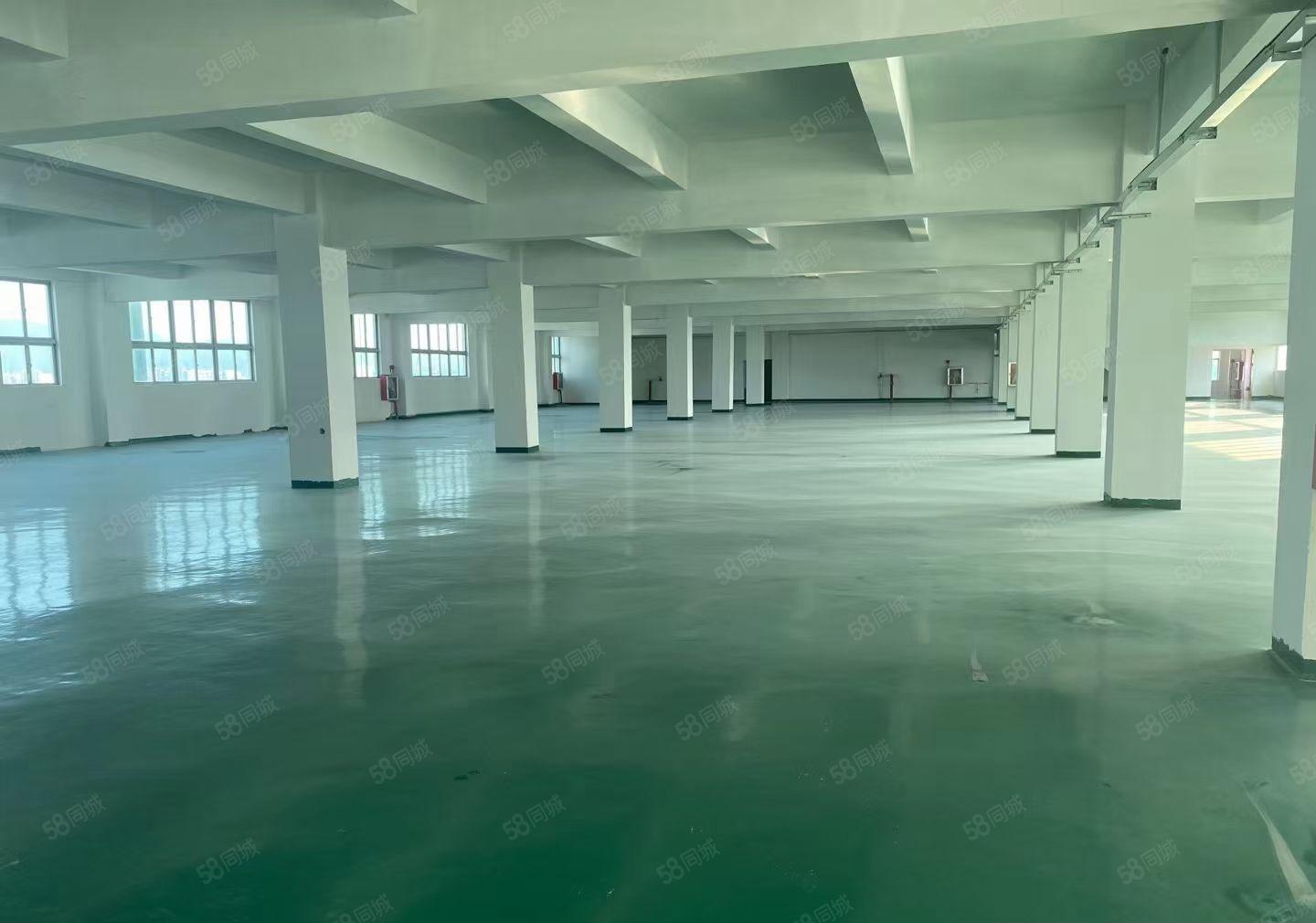 龙华石观单层面积2000平米，大小可以分租 原价转让