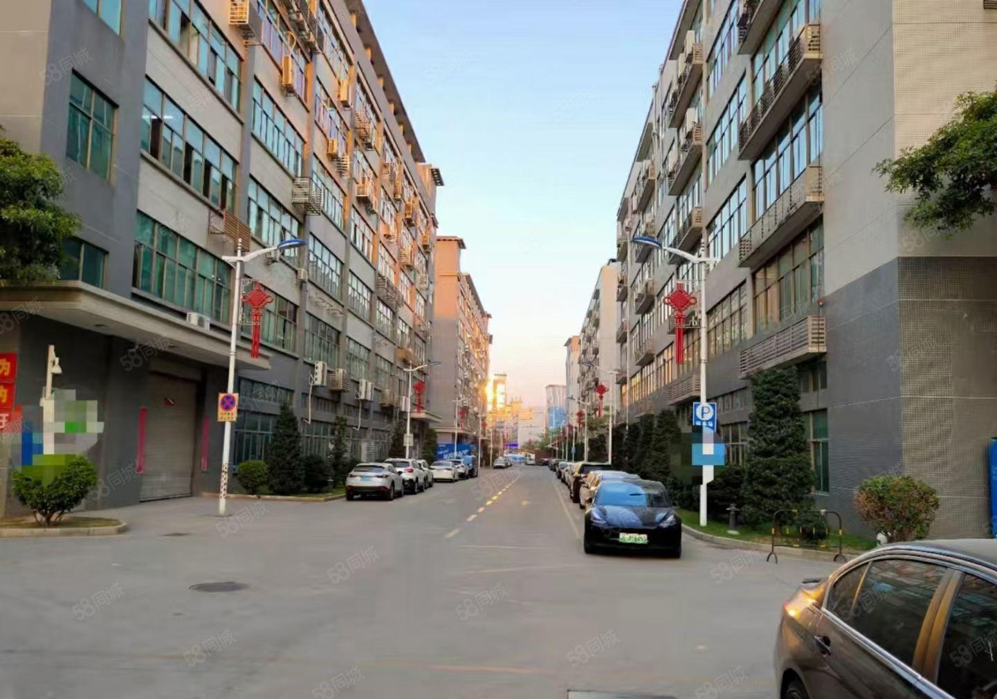 龙华大浪原房东联建工业园厂房招租一楼仓库出租可分租小面积低价