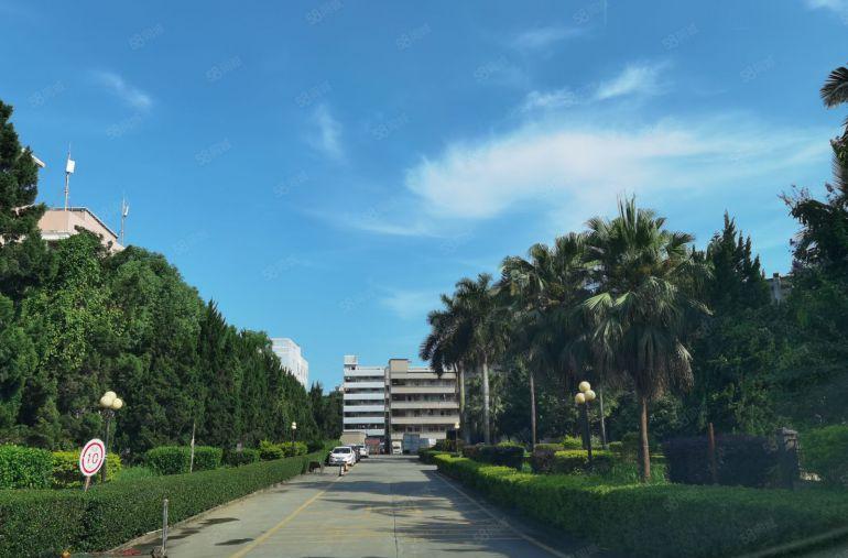 库坑原房东一楼厂房零公摊出租1500平方，层高6米大小可分租