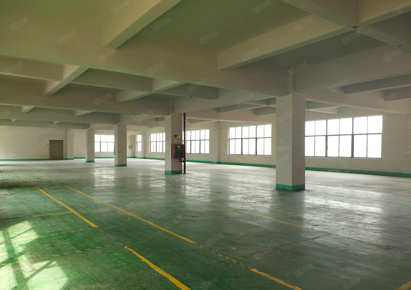 观澜原房东标准厂房楼上一整层1300平米招租！