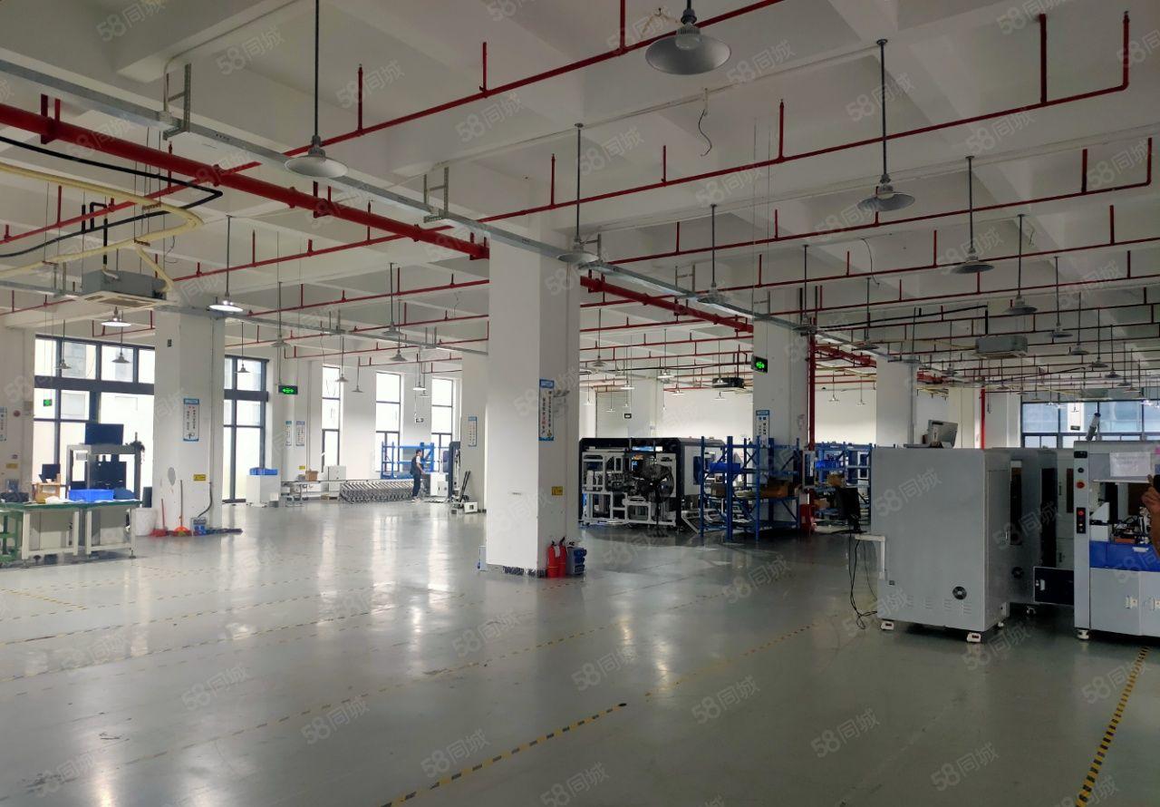 （原房东）观澜樟坑径工业园1700平精装修红本厂房出租可分租