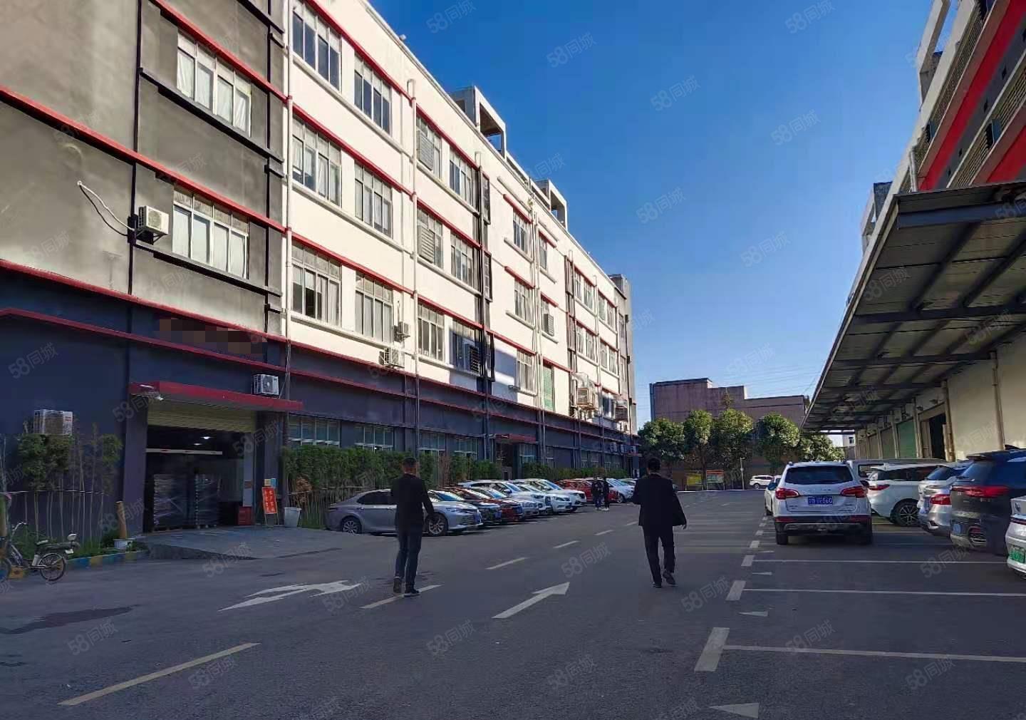 观澜樟坑径五和大道旁新出800平带办公室精装修厂房业主直租