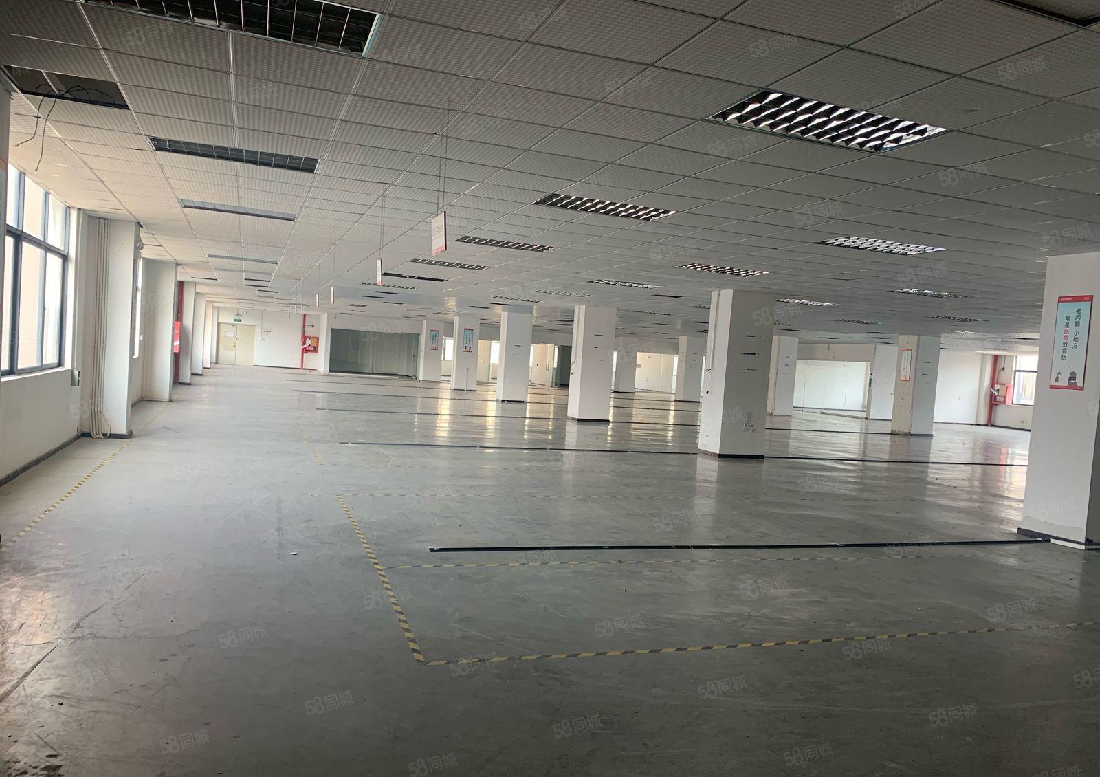 龙华大浪原房东红本实际面积1620平整层大平层厂房出租，可分