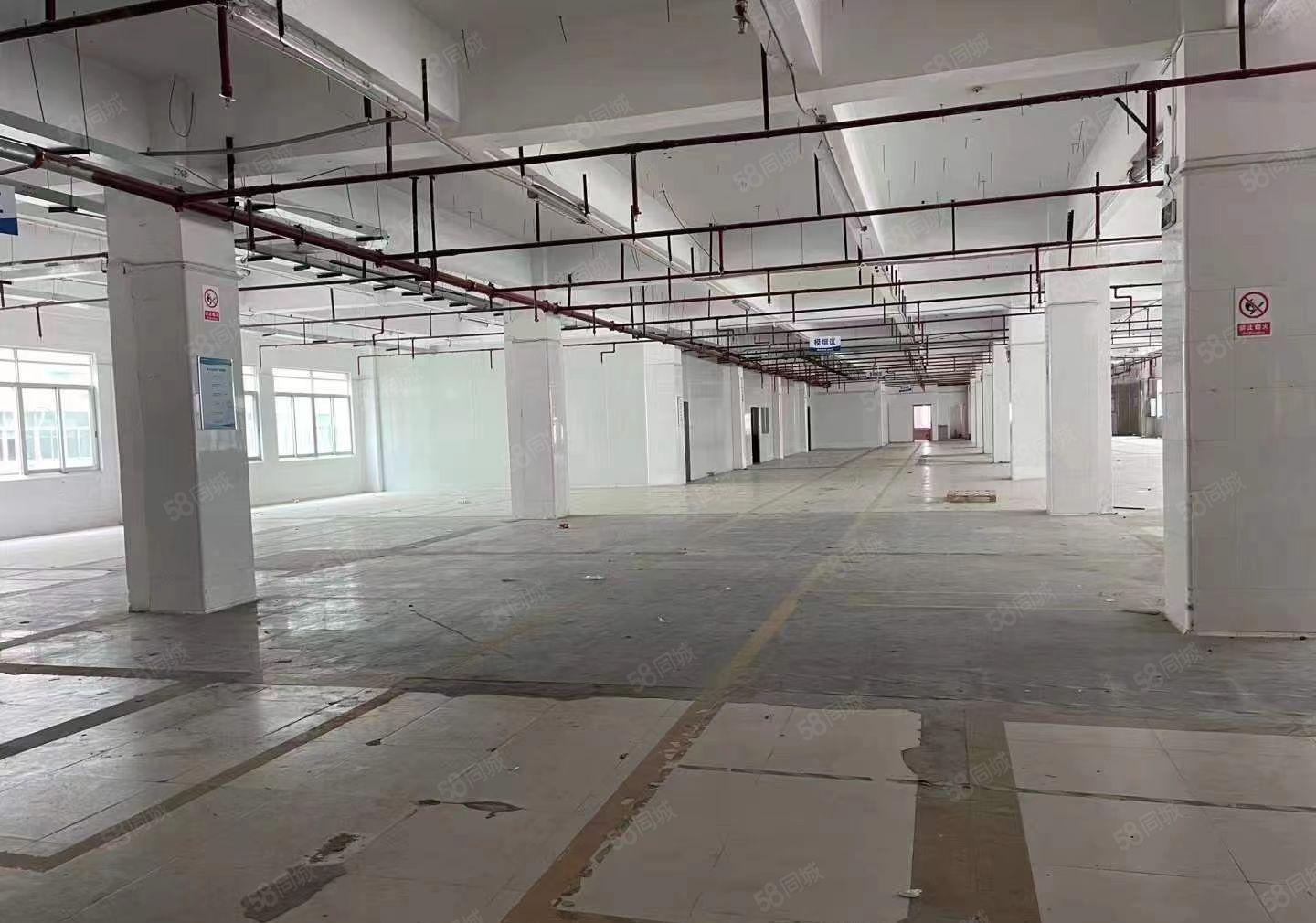 大浪园区厂房，整层2680平，标准货梯，价格便宜，易招工