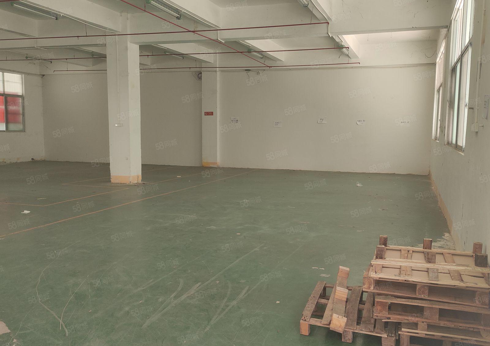 龙华天虹附近老围工业区一楼475平米厂房仓库出租