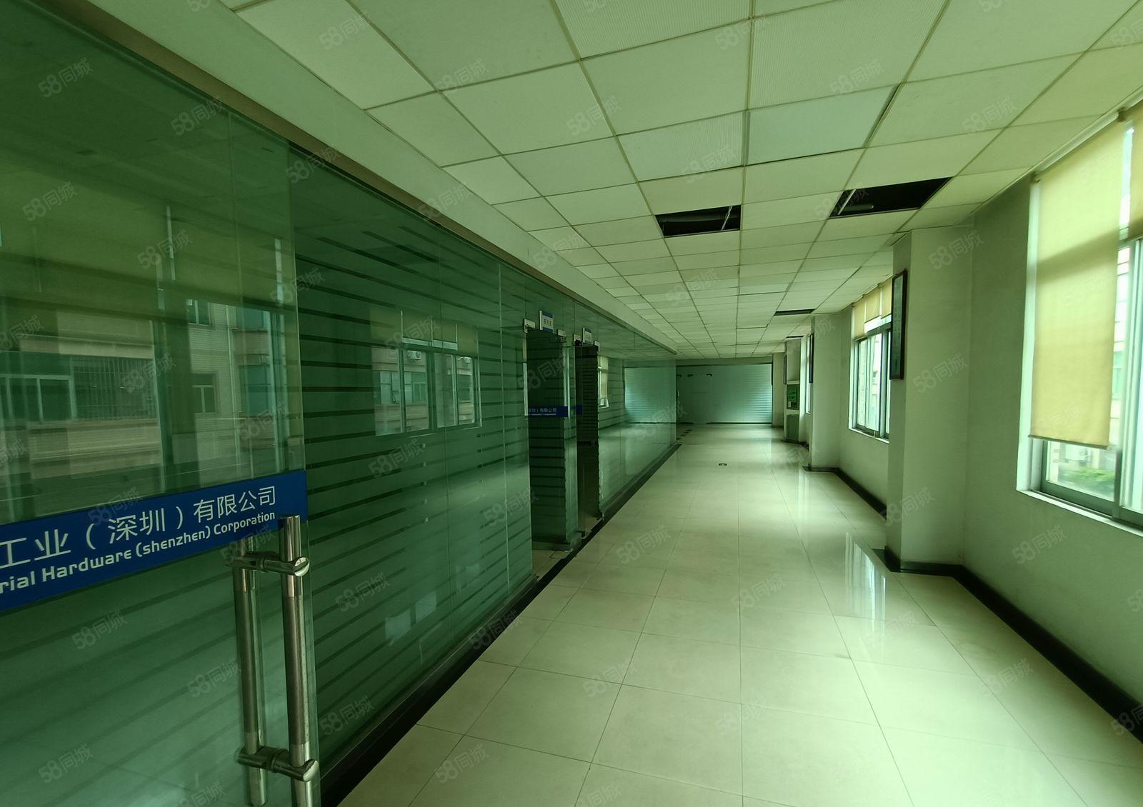 出租观澜环观中路独院厂房11500平优惠招租精装修现成水电。