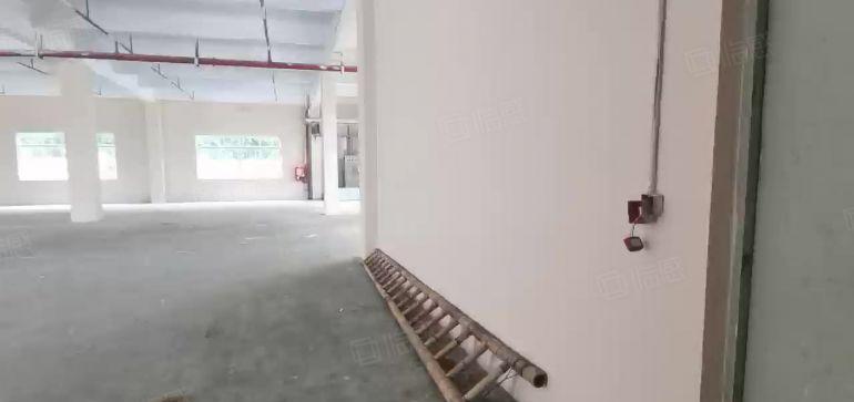 深圳龙华独门独院厂房出租超大空地一楼仓库办公整租分租物流仓库