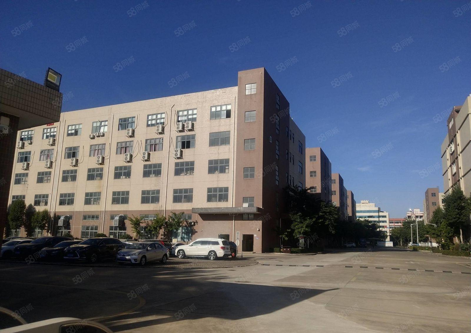 100平起分租观澜富民原房东工业园办公仓库厂房出租1000平