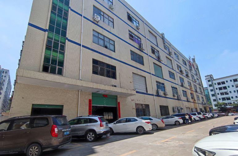 观澜工业园内 一楼厂房出租800平方 带办公室装修