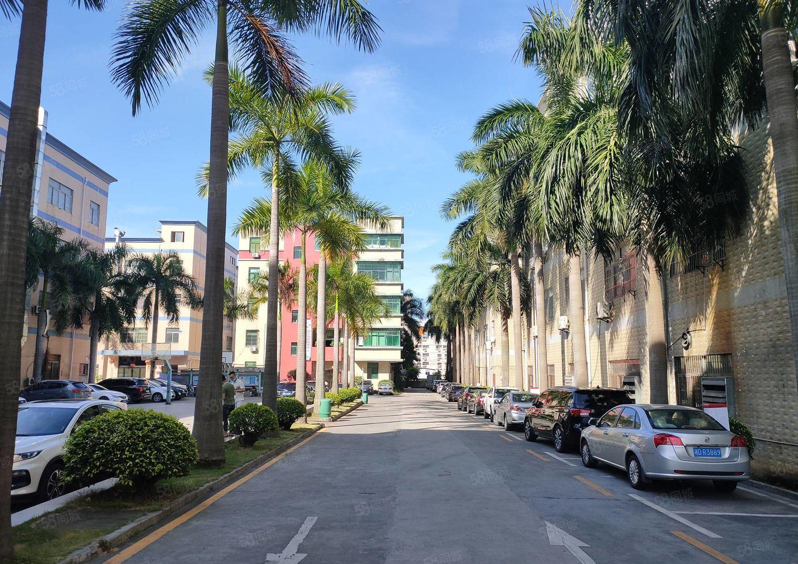 龙华大浪精装修1500平厂房出租可分租园区形象好仓库出租