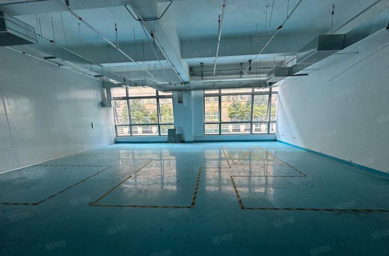 龙华油松900平精装修带无尘车间厂房仓库出租