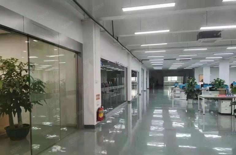 100平起租龙华明治精装修1000平厂房300平方办公室出租