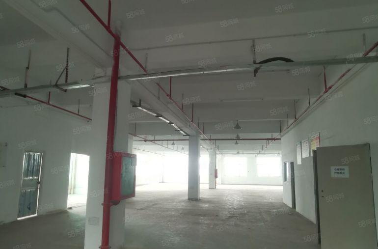 龙华观澜牛湖地铁口300米五楼900平米厂房出租，带装修