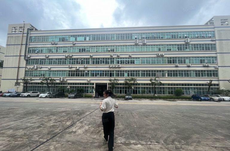 观澜主干道带消防厂房出租2000平，租金每平20元起