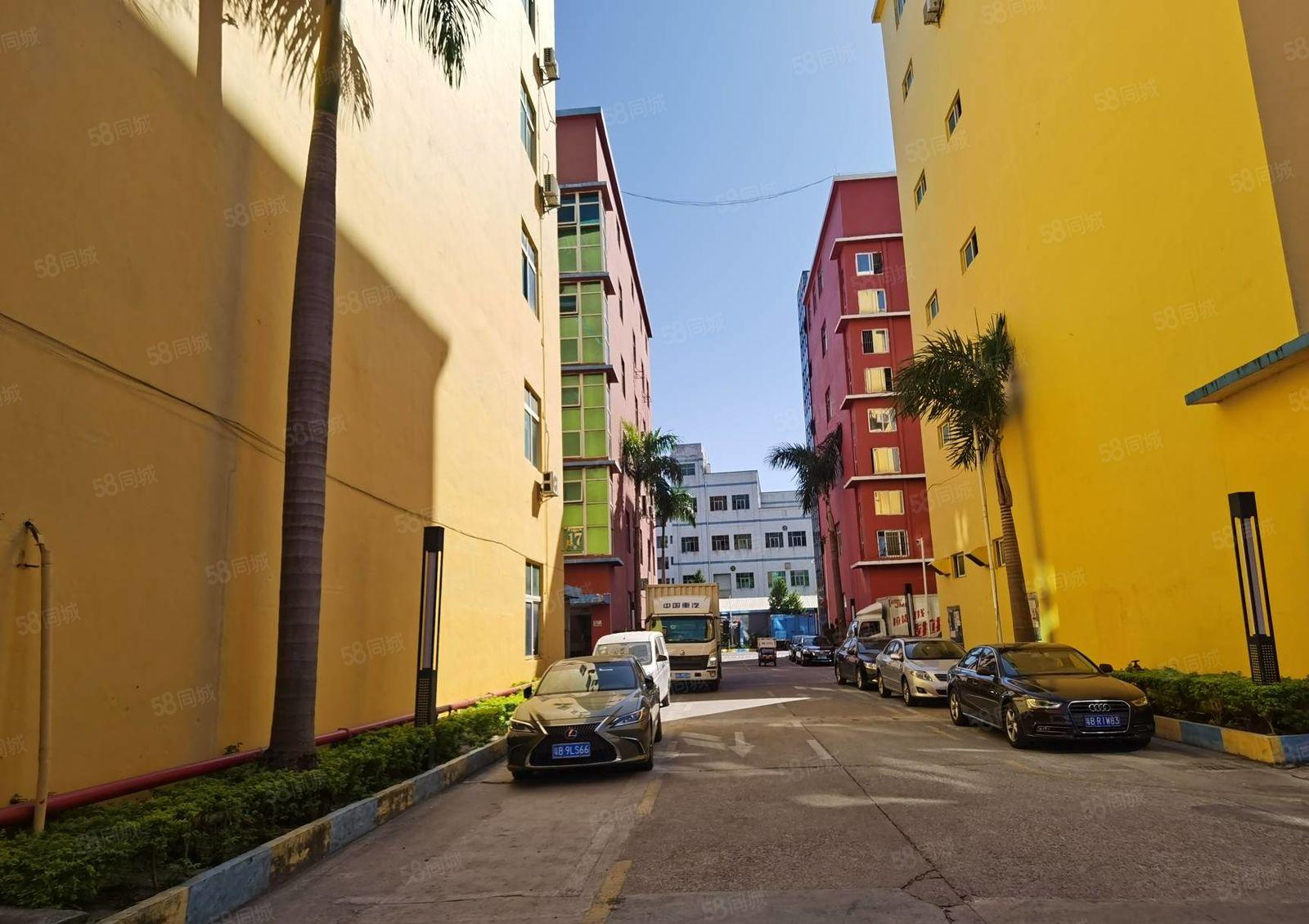 观澜楼上水电齐全1000平厂房出租多层大小可分形象好管理有序