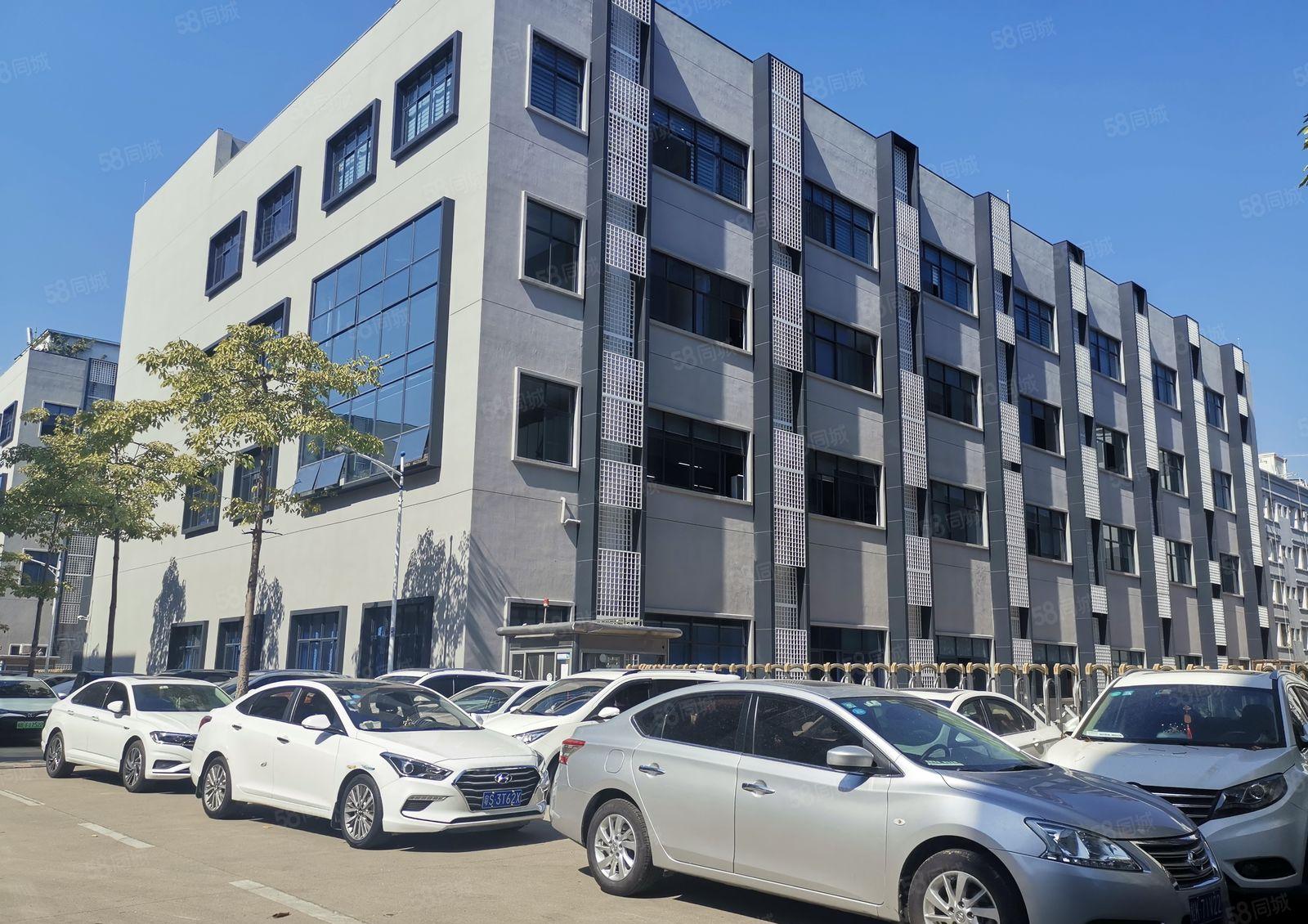 光明长圳独门独院工业园6500平厂房出租可分租带精装修办公室