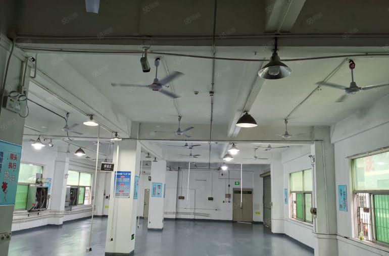 业主出租龙华河背工业区（一楼）450平米工业厂房