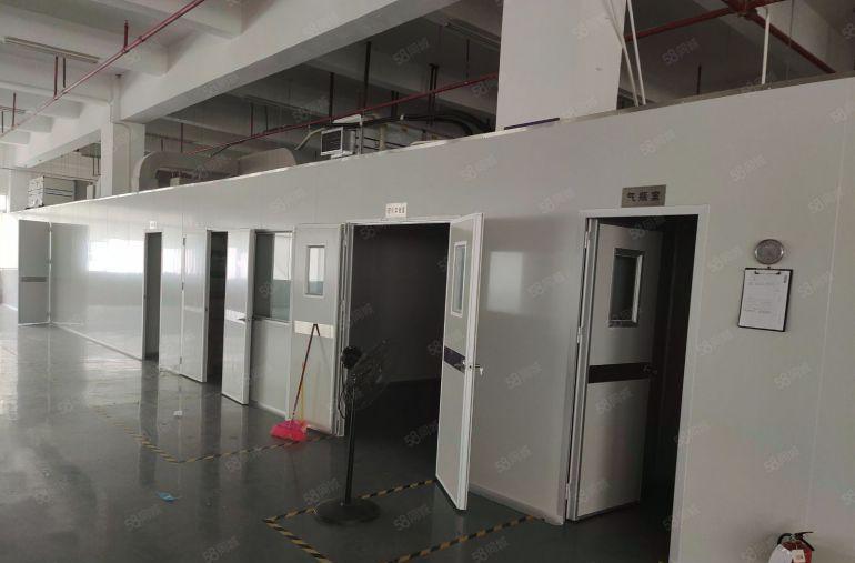 大浪商业中心! 无尘车间1500平厂房出租 工业园