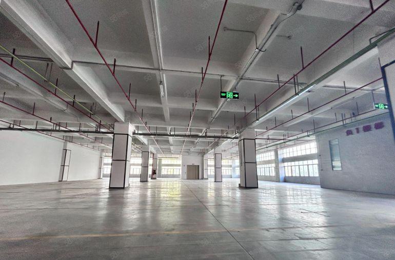 龙华物流仓带卸货平台仓库厂房出租 可进23米拖车1000平起