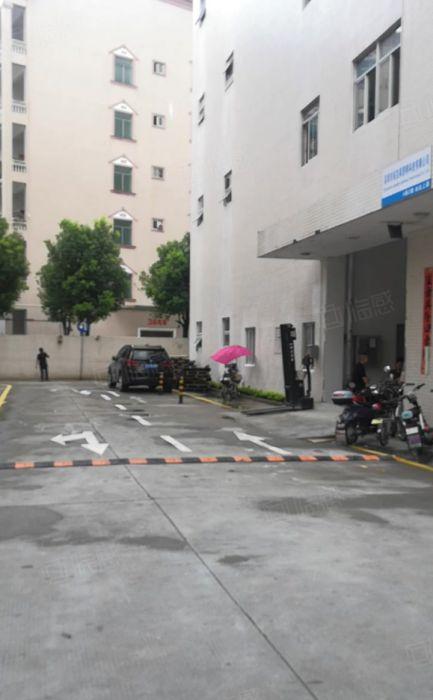 大浪元芬独院电商2千平电商仓库厂房出租仓库出租200平米分租