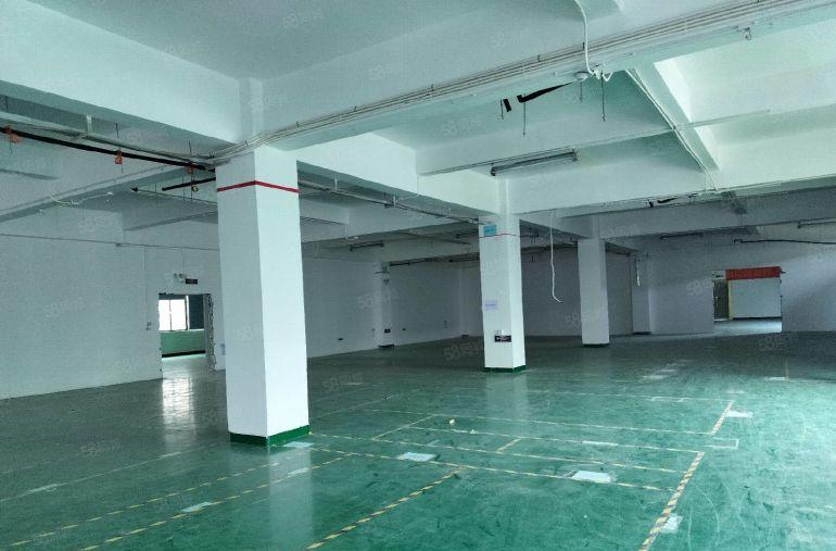 龙华大浪华荣路原房东独栋厂房共5层单层1600平零公摊可分租