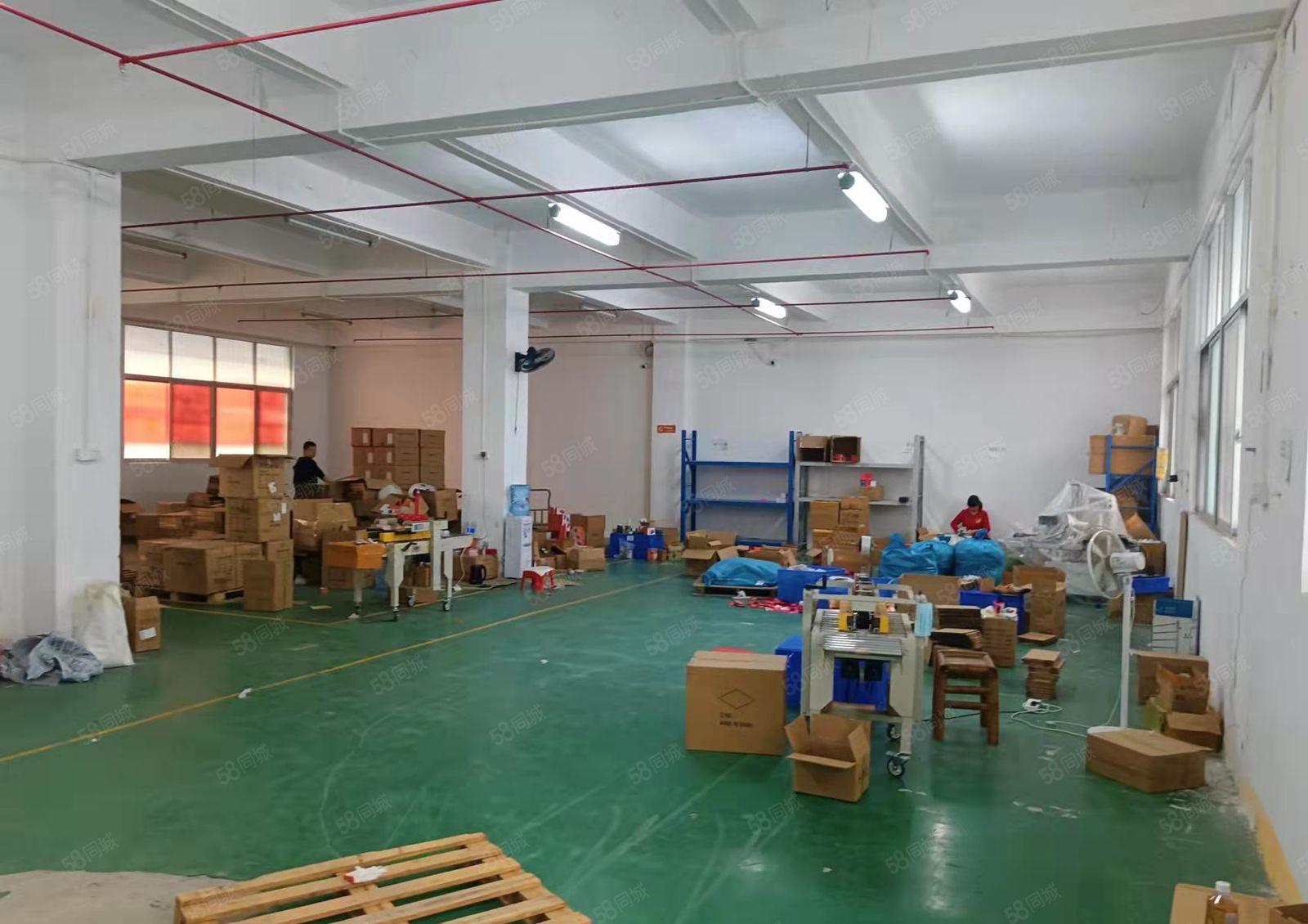 龙华天虹旁新出标准一楼厂房出租450平水电齐全