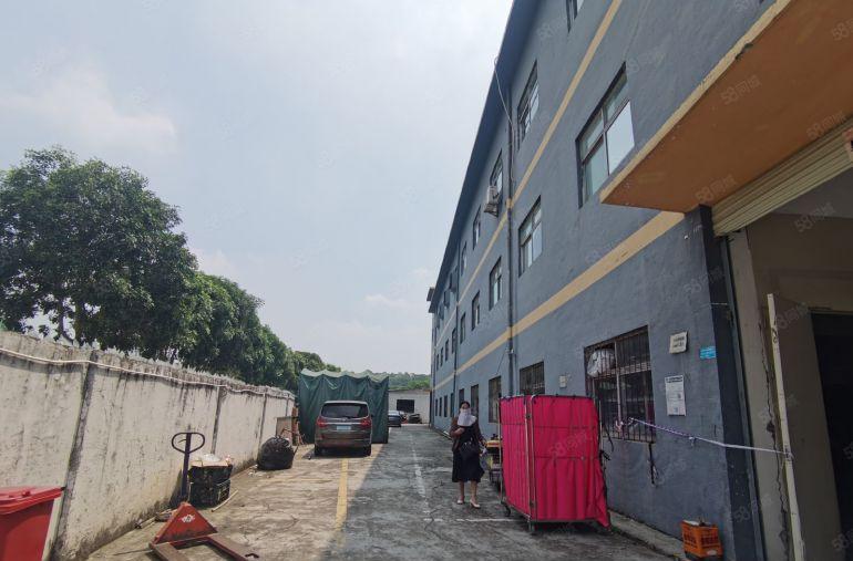 小独院来了2300平厂房观澜观光路边上三层小独院出租