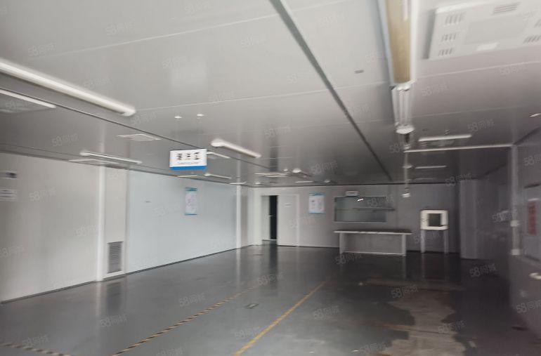 观澜樟阁两条国道之间 无尘车间  有超大空地