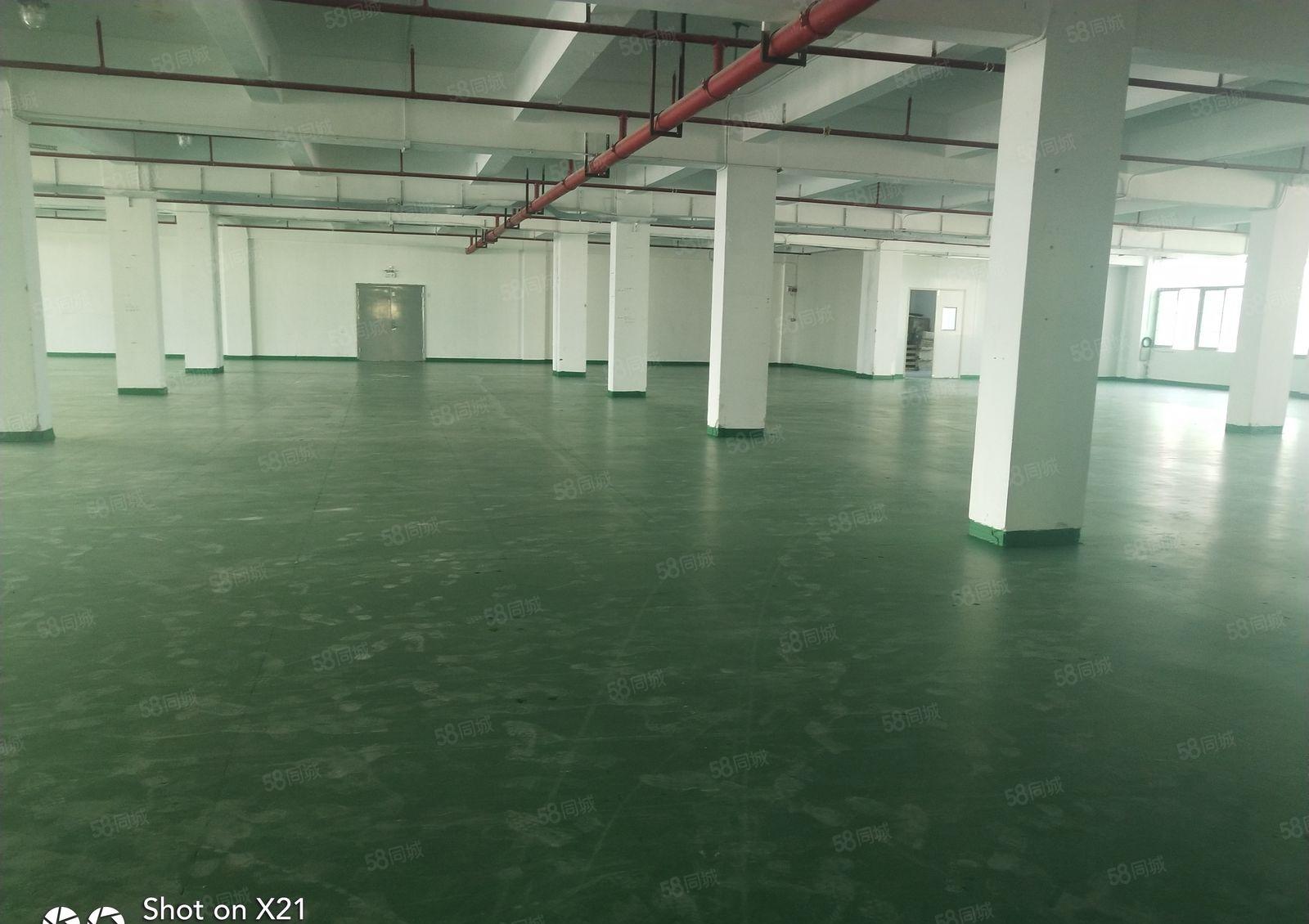 观澜主干道上独院厂房4100平米，每层1025平米，可分租