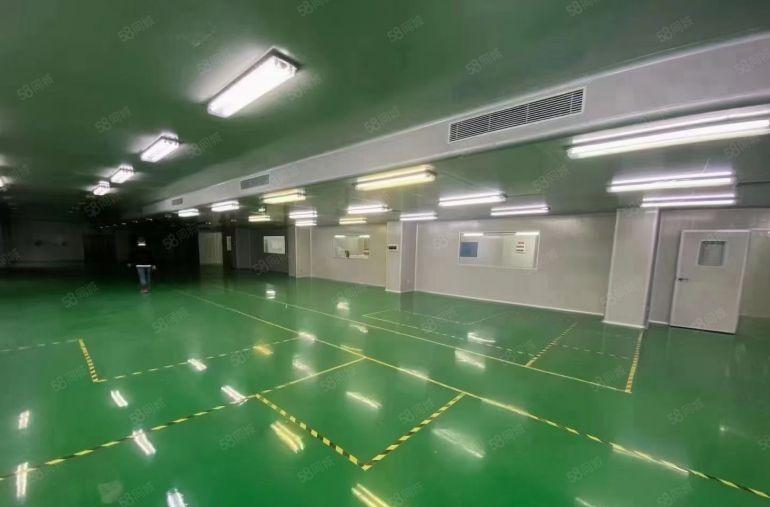 观澜章阁大型工业区整层2000平精装修办公室无尘车间可分租