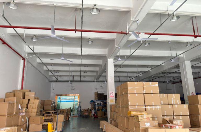 大浪商业中心一楼1000平精装修带办公室仓库厂房出租超大空地