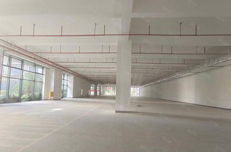 开发商直租红本厂房5000平方出租大小可分租可办环评交通便利