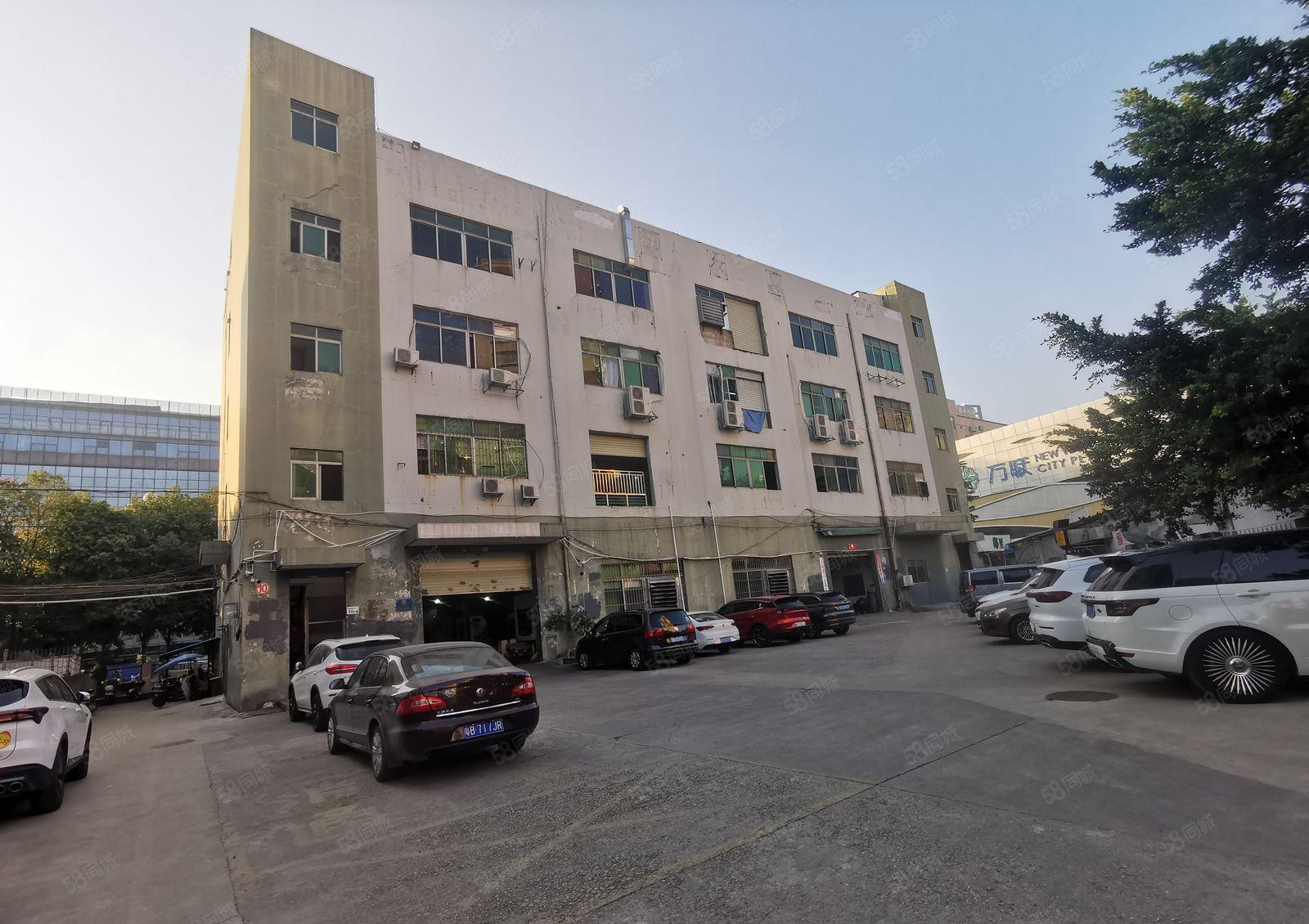 大浪新围一楼厂房出租大浪新围第二工业区一楼厂房出租