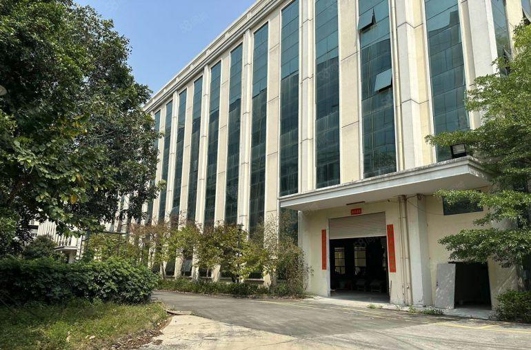 300平起分租观澜高新独门独院2.5万平厂房出租电商仓库加工