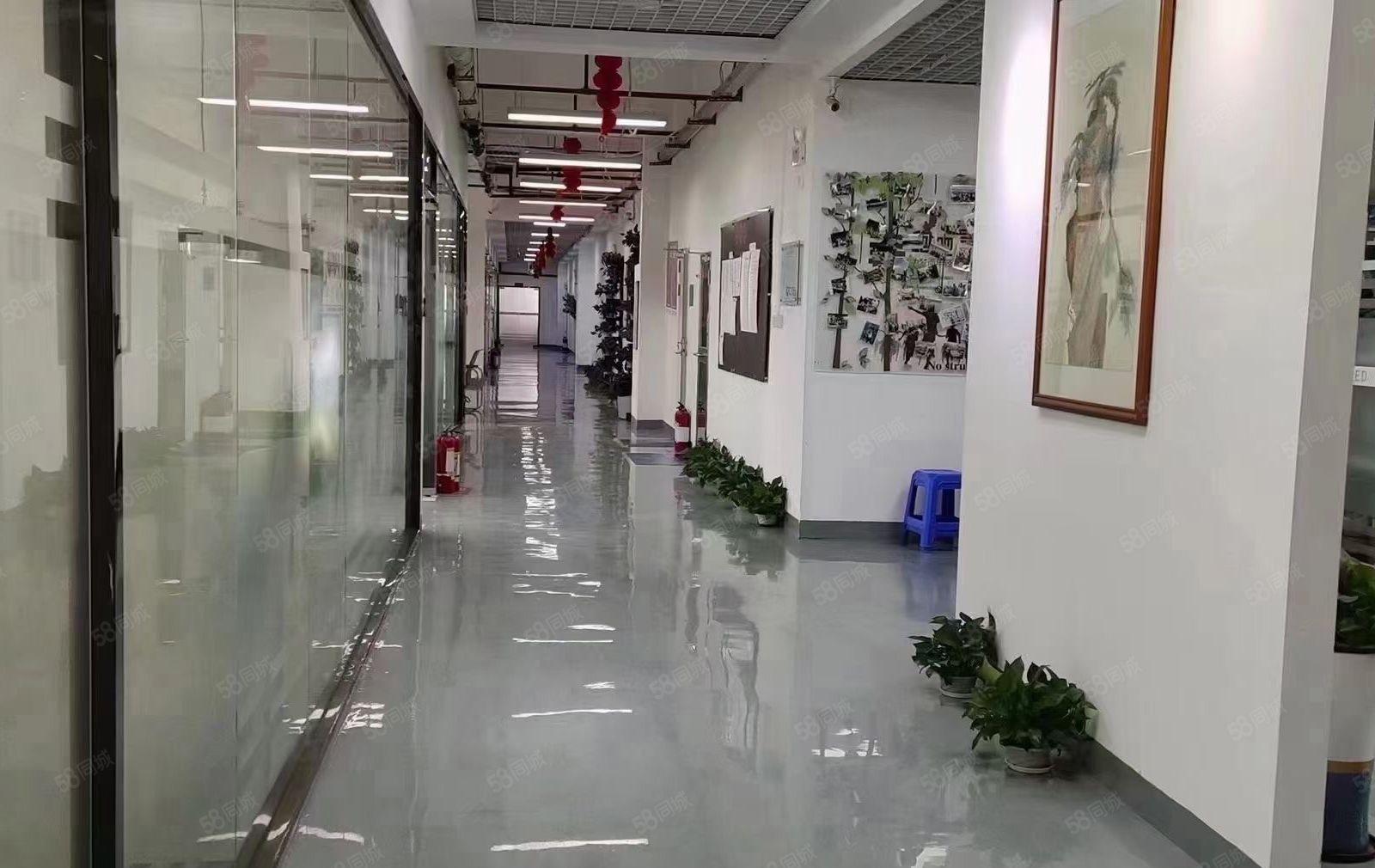 龙华大浪甲级红本园区楼上整层2800平带装修家私空调齐