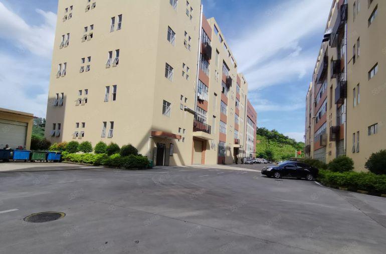 龙华大浪原房东红本园区厂房总面积2万平方带装修出租可分租