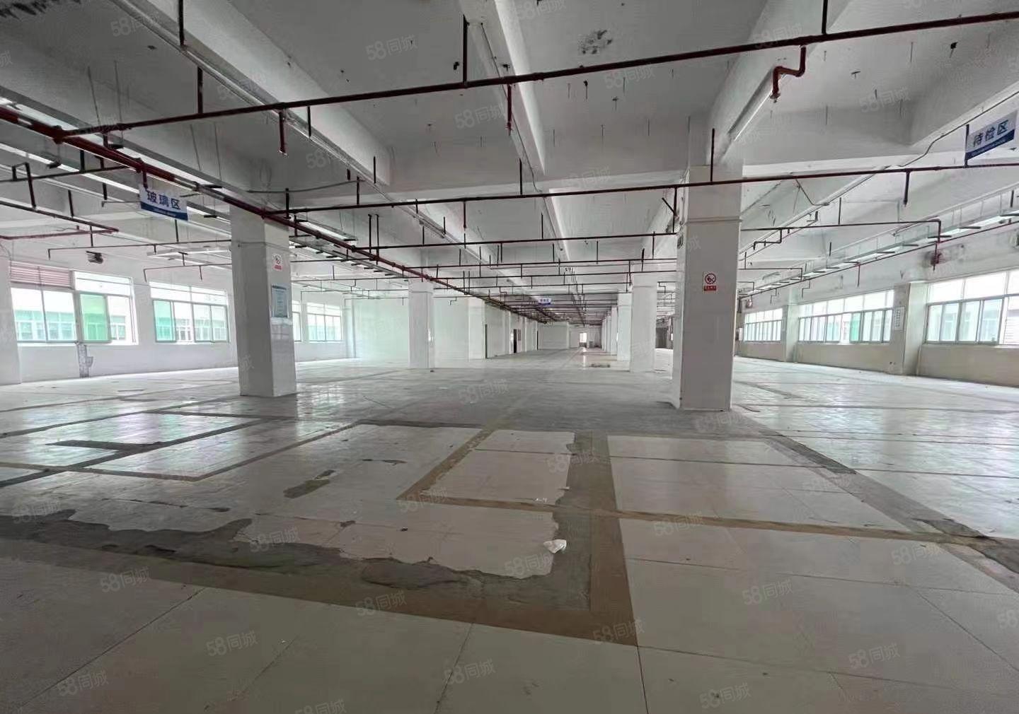 大浪园区厂房，整层2680平，标准货梯，价格便宜，易招工