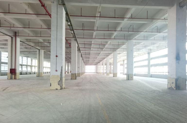 龙华地铁口红本厂房仓库3500平方可分租带丙类消防层高6米