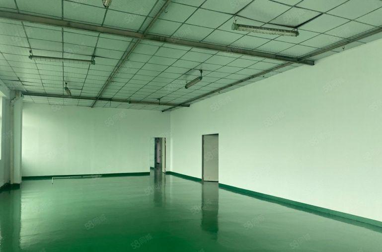 龙华大浪全新装修厂房，小面积130平起分租